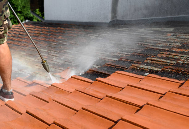 Best Affordable Pressure Washing  in Ore City, TX
