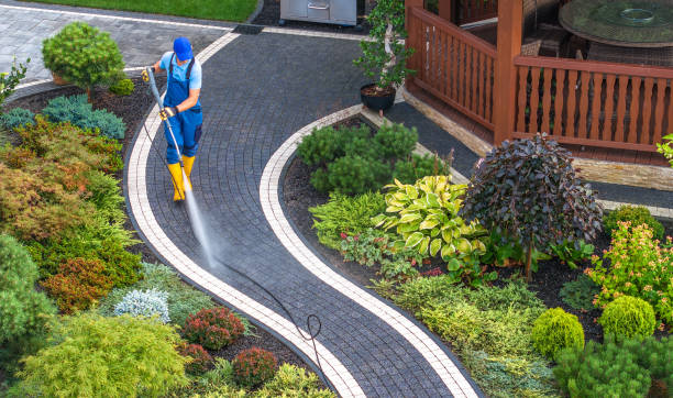 Best Pressure Washing Near Me  in Ore City, TX